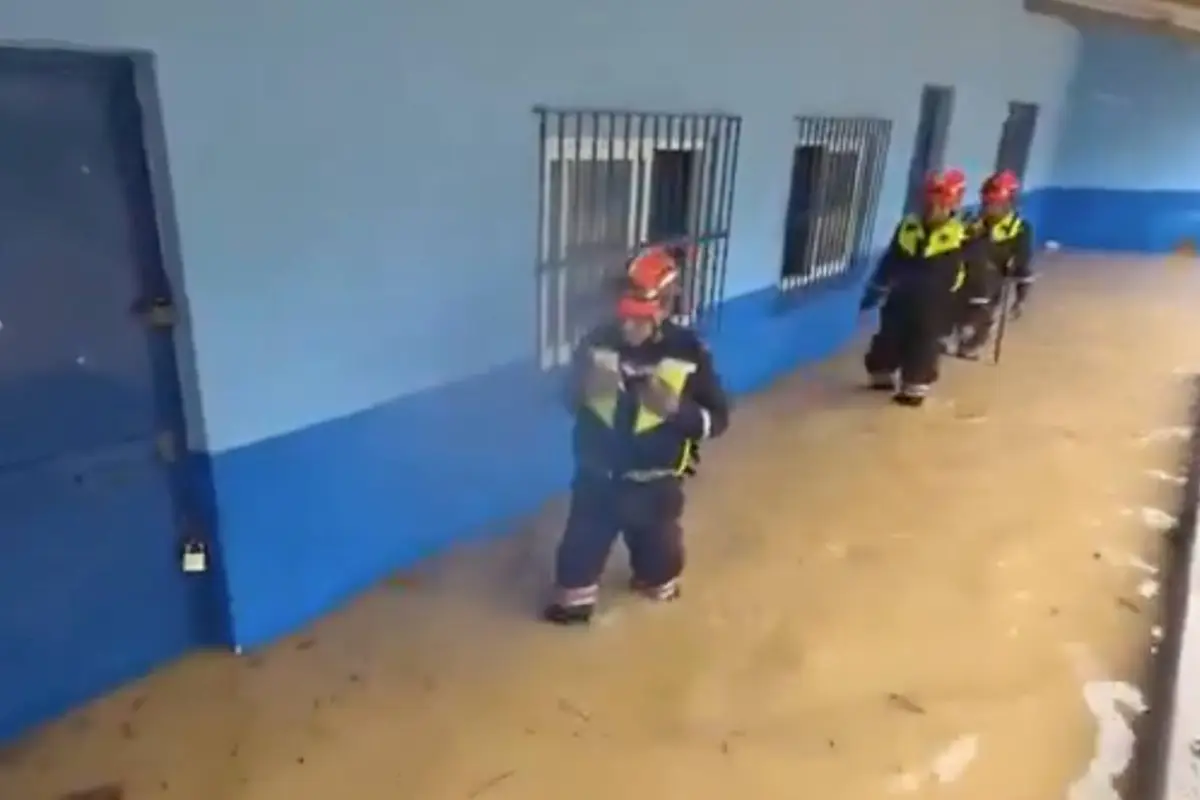 ., Bomberos Voluntarios