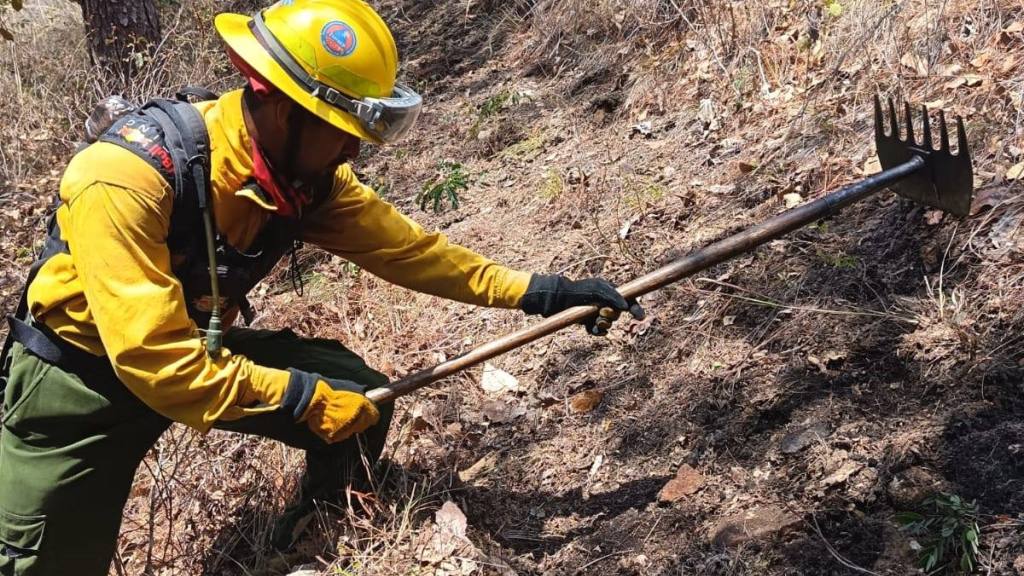 Conred de luto por muerte de dos bomberos forestales | Conred