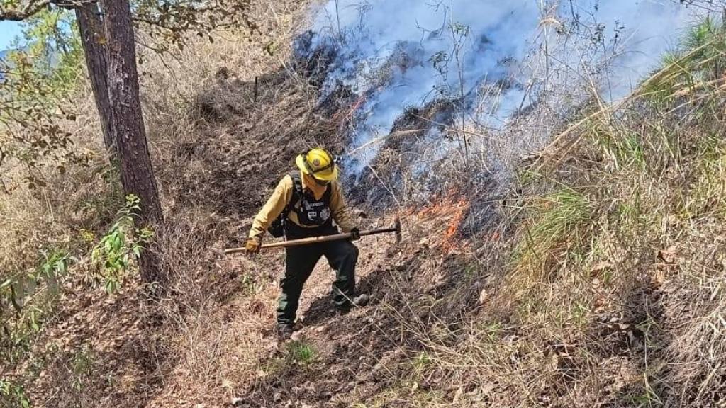 Conred de luto por muerte de dos bomberos forestales | Conred