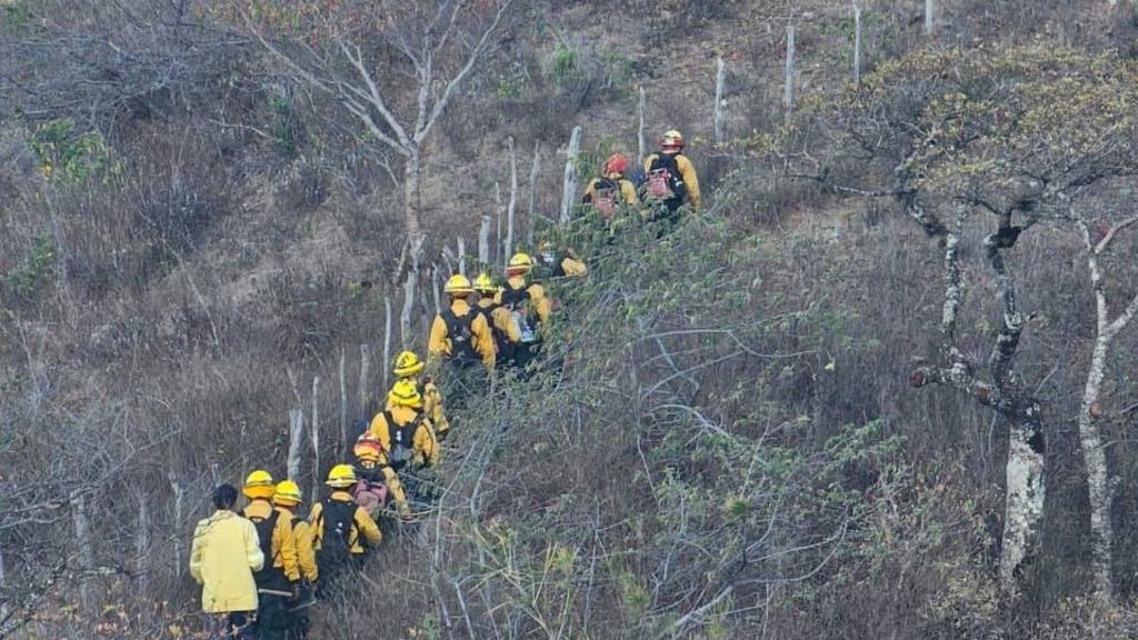 Conred de luto por muerte de dos bomberos forestales | Conred