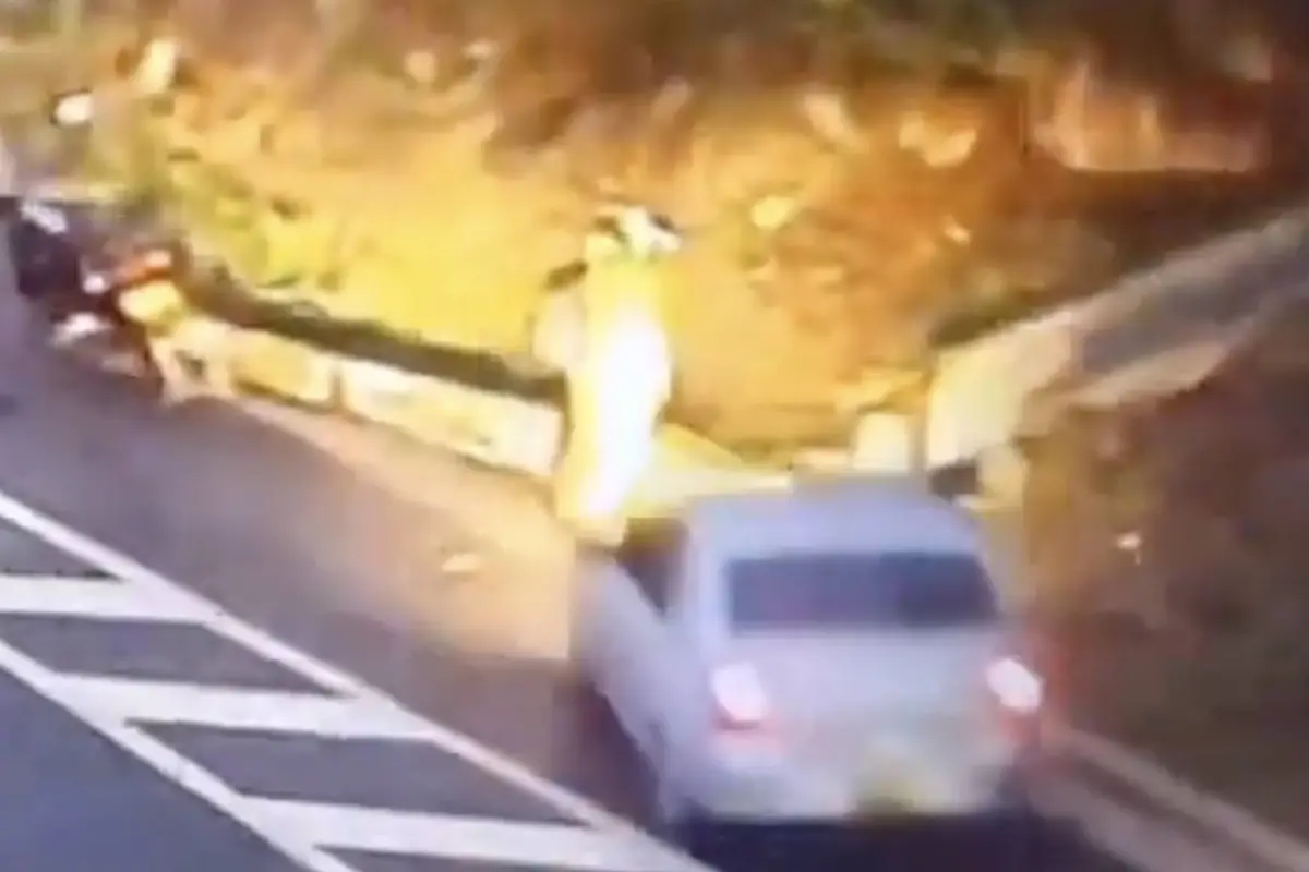 Motorista se detiene a orinar y escapa por segundos de un accidente mortal., Captura de pantalla video de X.