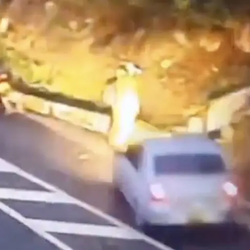 Motorista se detiene a orinar y escapa por segundos de un accidente mortal. ,Captura de pantalla video de X.