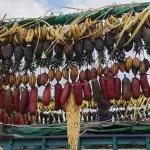 Así son los arcos de hoja de pacaya, corozo y frutast