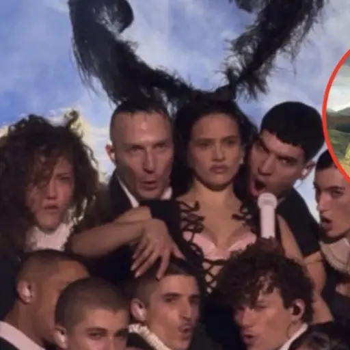 Rosalía ,Redes sociales