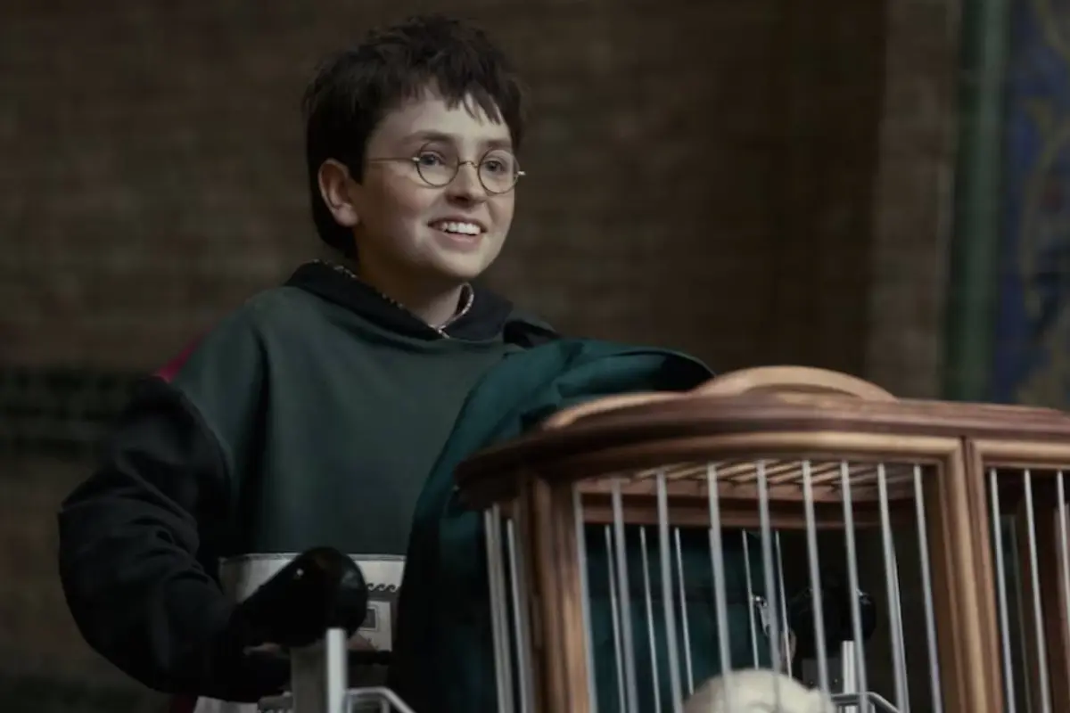 Harry Potter, Harry Potter