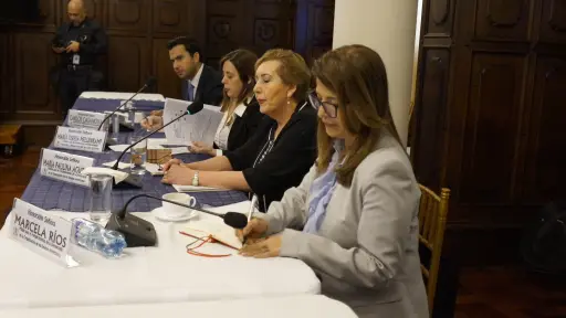 La Misión Especial de la OEA sostuvo una reunión con el presidente, Bernardo Arévalo.  ,OEA