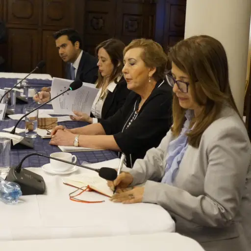 La Misión Especial de la OEA sostuvo una reunión con el presidente, Bernardo Arévalo.  ,OEA