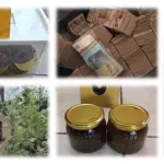 Desarticulan red de narco-repostería: 12 capturados y millonario decomisot
