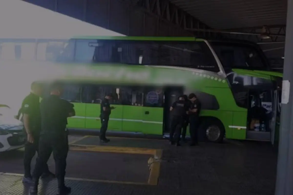 Actriz y directora teatral Mariana Pizarro muere durante viaje en autobús., Redes sociales.