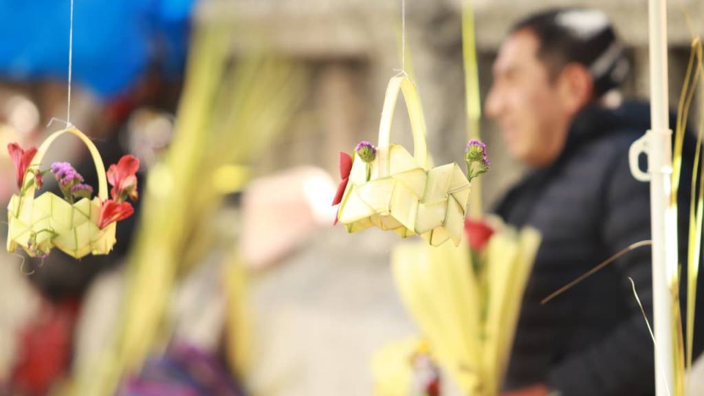 Comerciantes y feligreses llenan iglesias el Domingo de Ramos | Alex Meoño