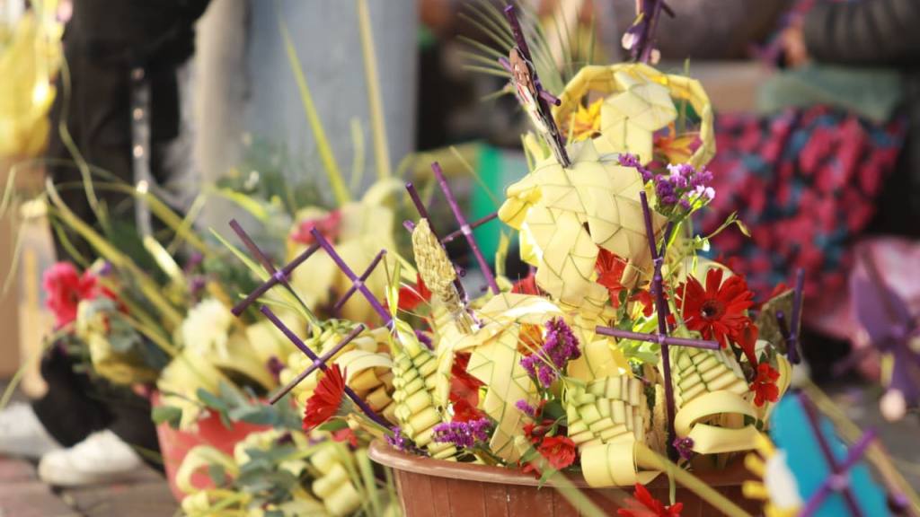 DomingodeRamosenSantoDomingo-AlexMeoo(10) |