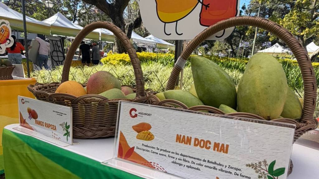 Festival del Mango convoca a cientos de guatemaltecos | Alex Meoño