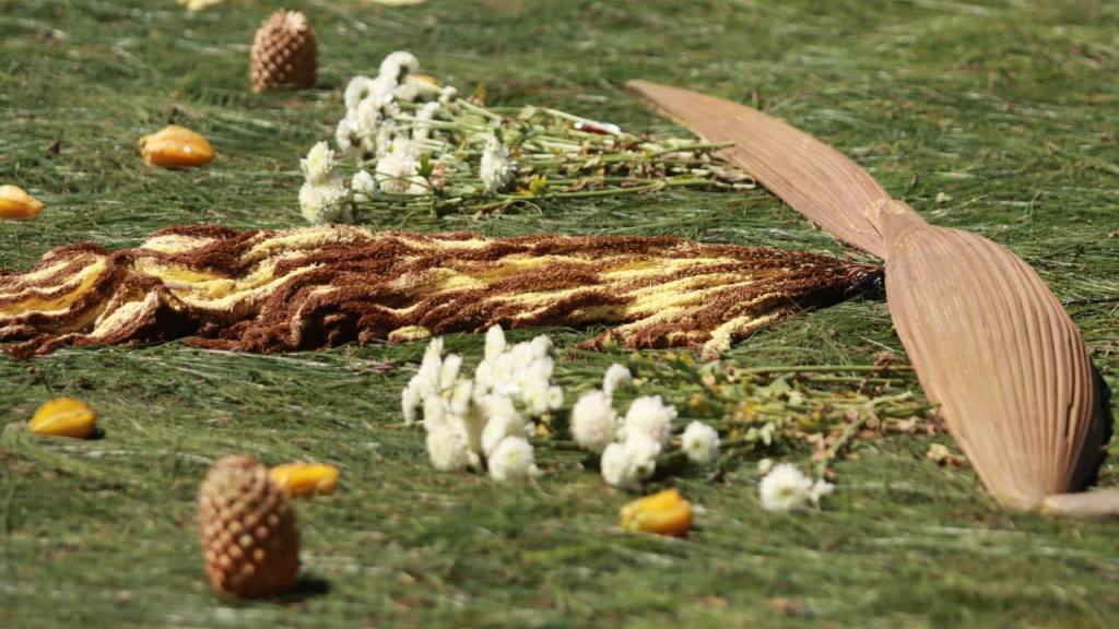 Agradecimiento en el recorrido de Jesús de los Milagros | Alex Meoño