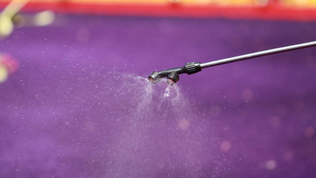 Agradecimiento en el recorrido de Jesús de los Milagros | Alex Meoño