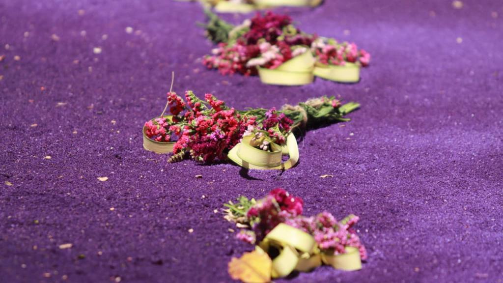 Agradecimiento en el recorrido de Jesús de los Milagros | Alex Meoño