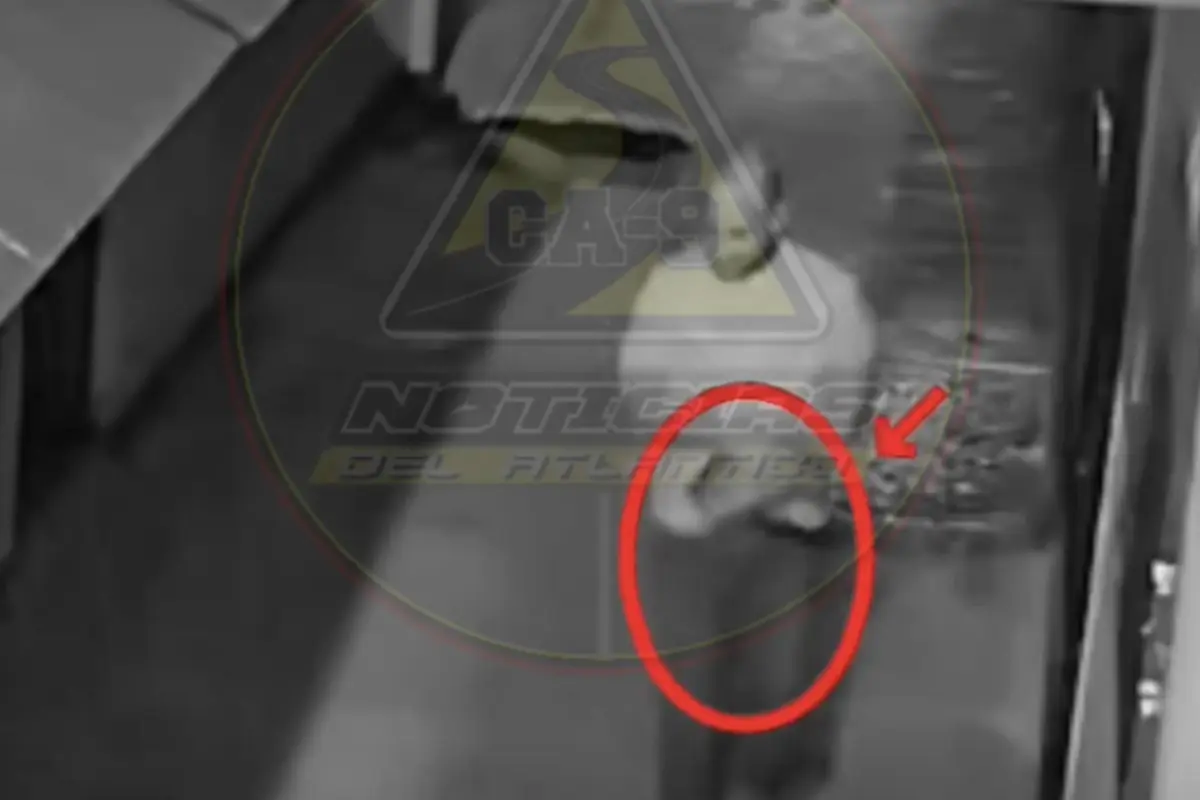 Hombre abandona a un gato en plena vía pública de zona 18., Captura de pantalla video de Facebook.