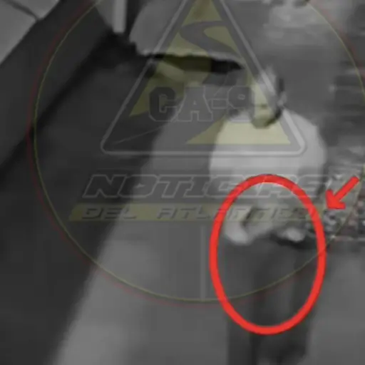 Hombre abandona a un gato en plena vía pública de zona 18. ,Captura de pantalla video de Facebook.