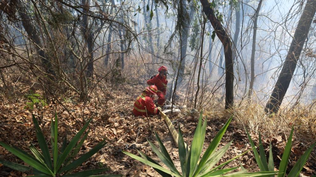 Bomberos Municipales combaten incendio forestal en zona 17 | Bomberos Municipales