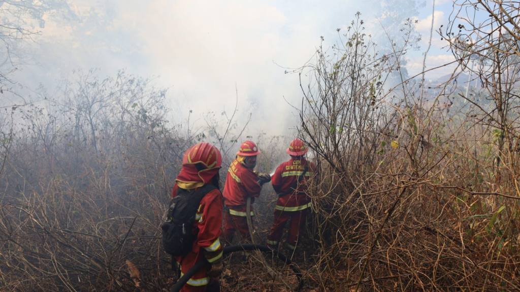 Bomberos Municipales combaten incendio forestal en zona 17 | Bomberos Municipales