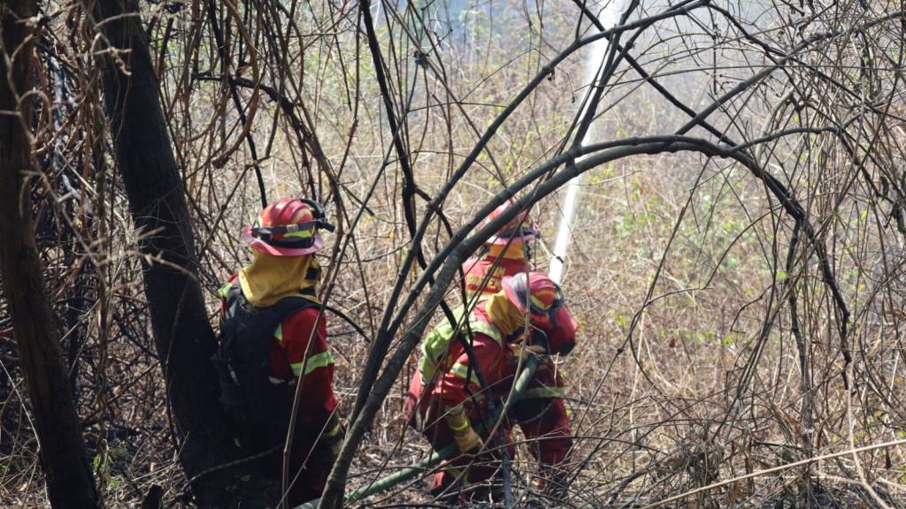 Bomberos Municipales combaten incendio forestal en zona 17 | Bomberos Municipales