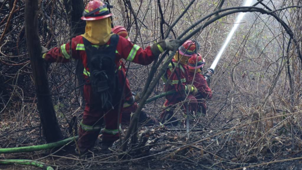 Bomberos Municipales combaten incendio forestal en zona 17 | Bomberos Municipales
