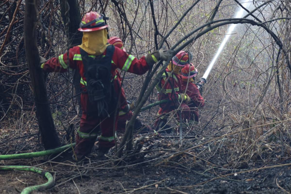 Bomberos Municipales combaten incendio forestal en zona 17