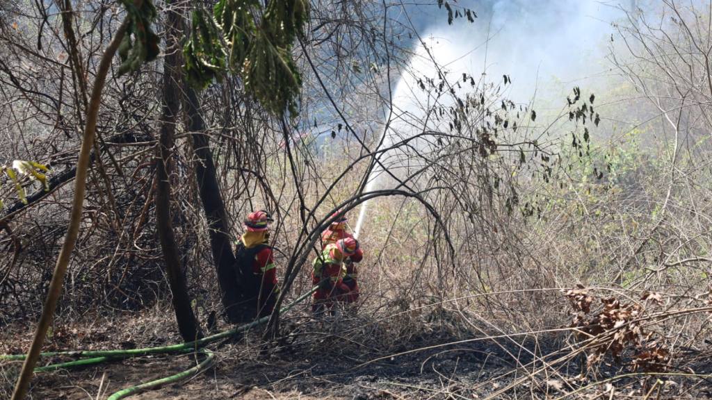 Bomberos Municipales combaten incendio forestal en zona 17 | Bomberos Municipales