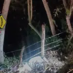 . ,Bomberos Voluntarios