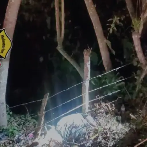 . ,Bomberos Voluntarios