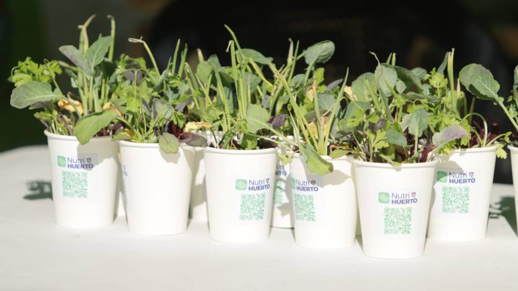 Celebran el Festival de la Juventud en Plaza Berlín, zona 13 | Alex Meoño