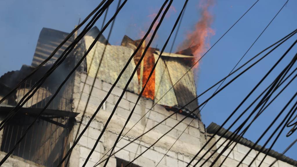 Perritos a salvo: Así fueron rescatados de un voraz incendio | Bomberos Municipales