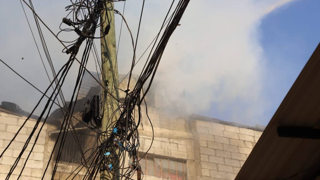 Perritos a salvo: Así fueron rescatados de un voraz incendio | Bomberos Municipales