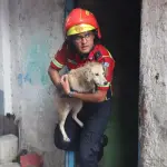 En imágenes: Perritos son puestos a salvo tras un voraz incendio en Mixcot