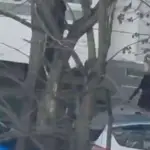 Tiroteo y toma de rehenes en supermercado de Kiev deja al menos cinco muertost