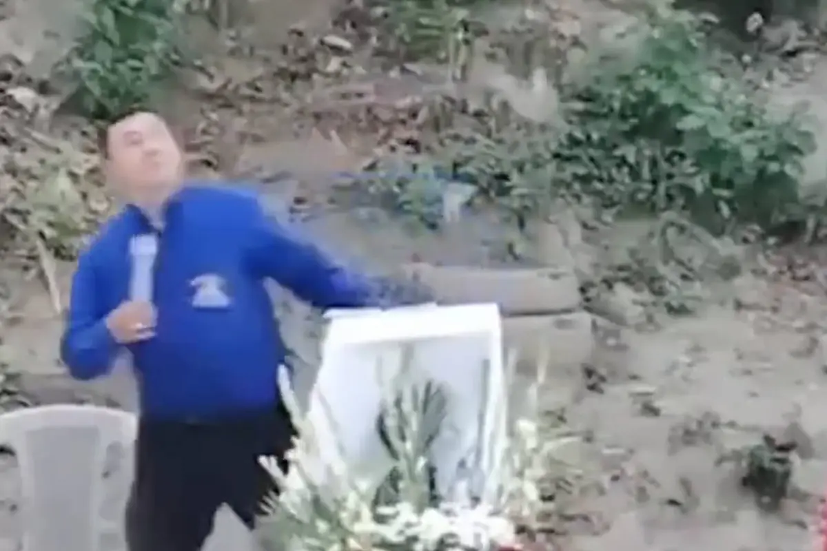 En plena Semana Santa, árbol cae sobre feligreses y deja escenas de pánico., Captura de pantalla video de X.