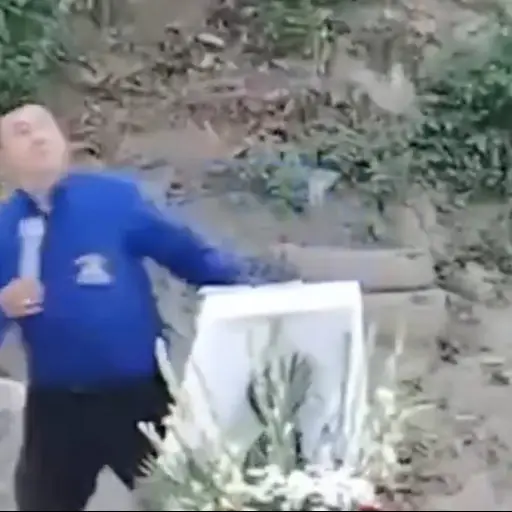 En plena Semana Santa, árbol cae sobre feligreses y deja escenas de pánico. ,Captura de pantalla video de X.