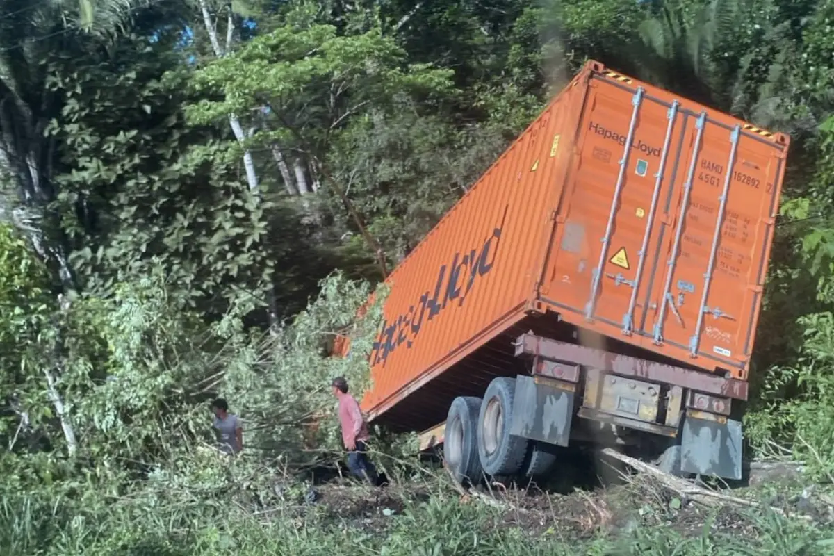 Tráiler se va directo a la vegetación tras perder el control., Redes sociales.