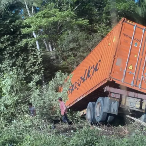 Tráiler se va directo a la vegetación tras perder el control. ,Redes sociales.