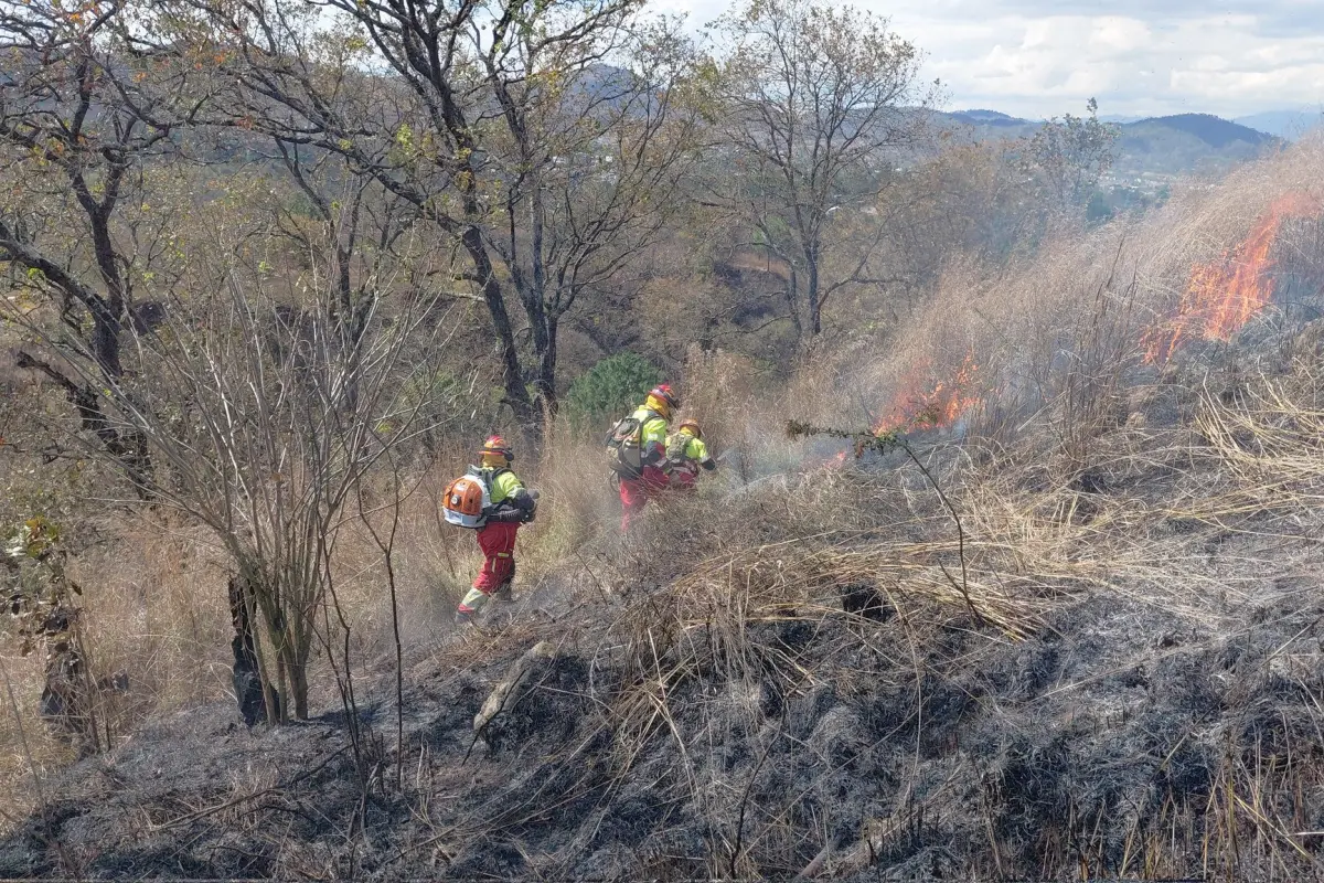 El incendio ocurrió en un terreno con inclinación, lo que complicó las tareas de apagado., Bomberos Municipales.