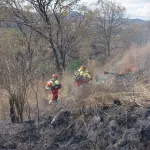 El incendio ocurrió en un terreno con inclinación, lo que complicó las tareas de apagado. ,Bomberos Municipales. 