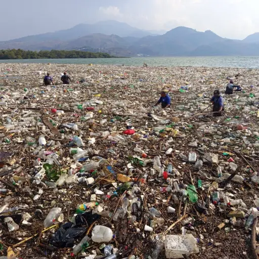 Desechos sólidos flotantes ingresaron al lago de Amatitlán ,AMSA