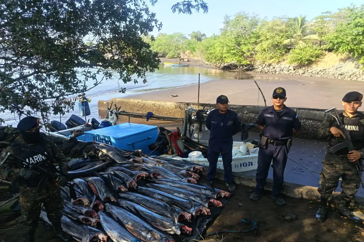 El Comando Naval del Pacífico interceptó una embarcación que transportaba producto marino., Foto Ejército