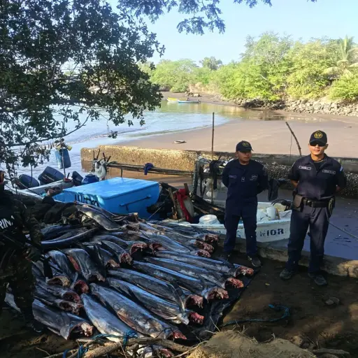 El Comando Naval del Pacífico interceptó una embarcación que transportaba producto marino. ,Foto Ejército