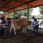 Unidad de Bienestar Animal hace verificación en hospital veterinario de la Usact