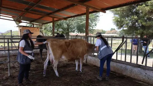 Unidad de Bienestar Animal hace verificación en hospital veterinario de la Usac