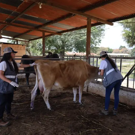 Personal de la Unidad de Bienestar Animal verifica condiciones de los animales en la Usac. ,Ministerio de Agricultura