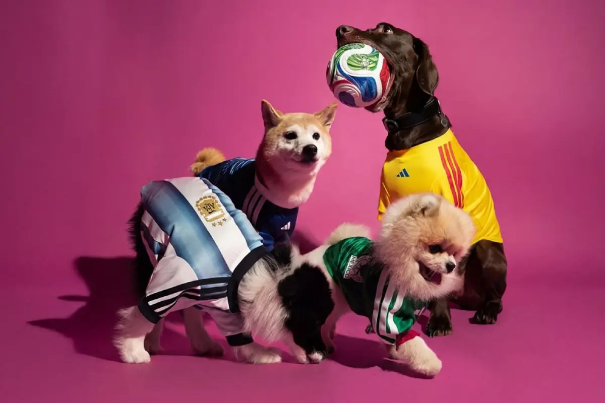 Lanzan colección de camisetas para mascotas rumbo al Mundial - Adidas