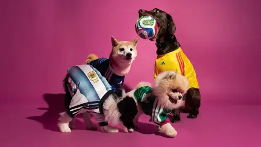 Lanzan colección de camisetas para mascotas rumbo al Mundial