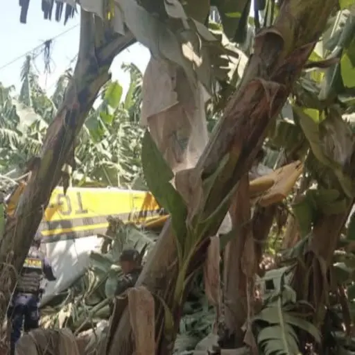 Accidente de avioneta ,Captura de pantalla video de Facebook.