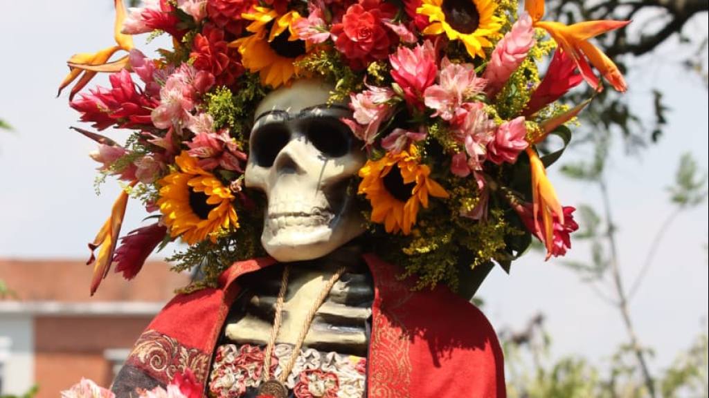 Exhibiciones y concursos destacan en la Feria de las Flores 2026 | Alex Meoño